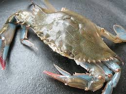 Soft Shell Crabs (Whole)