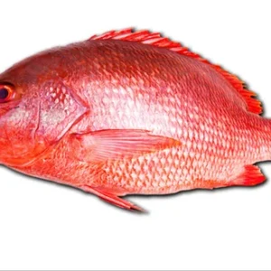 Red Snapper (Whole)