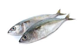 Bangda (Mackerel)